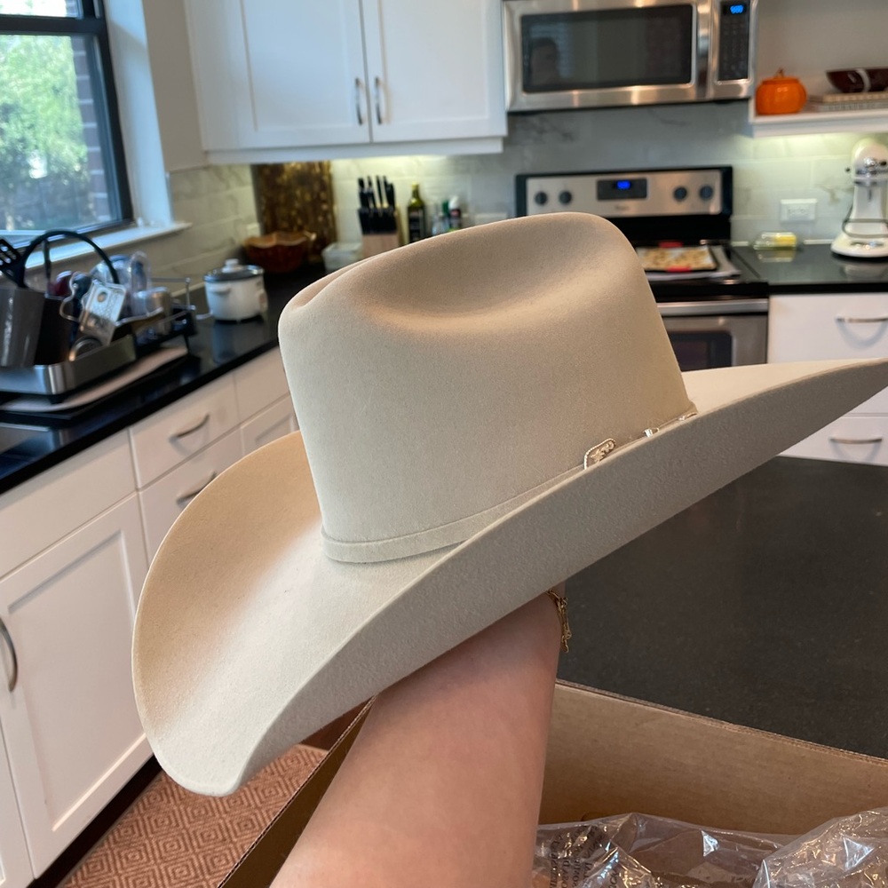 Stetson Skyline Cowboy Hat in Silverbelly size 6 3/4